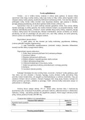 Verslo planas: "Vertimai" 2 puslapis