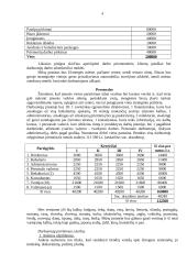 Verslo planas: "Vertimai" 3 puslapis