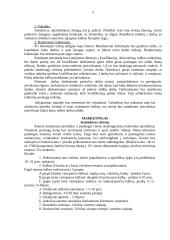 Verslo planas: "Vertimai" 4 puslapis