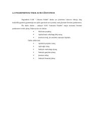 Verslo planas: drabužių parduotuvė "Auksinė paladė" 2 puslapis