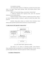 Verslo planas: drabužių parduotuvė "Auksinė paladė" 12 puslapis