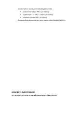 Verslo planas: drabužių parduotuvė "Auksinė paladė" 13 puslapis