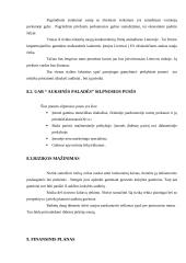 Verslo planas: drabužių parduotuvė "Auksinė paladė" 14 puslapis