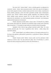 Verslo planas: drabužių parduotuvė "Auksinė paladė" 20 puslapis