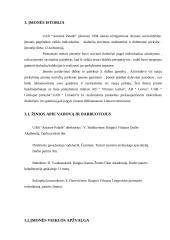 Verslo planas: drabužių parduotuvė "Auksinė paladė" 3 puslapis