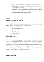 Verslo planas: drabužių parduotuvė "Auksinė paladė" 5 puslapis