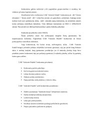 Verslo planas: drabužių parduotuvė "Auksinė paladė" 6 puslapis