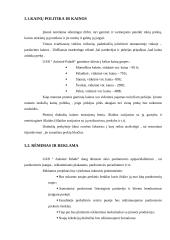 Verslo planas: drabužių parduotuvė "Auksinė paladė" 8 puslapis