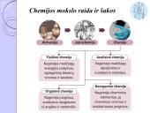 Chemijos mokslo raida 14 puslapis