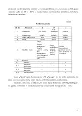 Verslo planas: drabužių siuvimas  UAB "Agneta" 12 puslapis