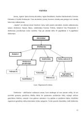 Verslo planas: drabužių siuvimas  UAB "Agneta" 13 puslapis