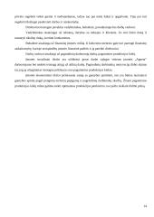 Verslo planas: drabužių siuvimas  UAB "Agneta" 14 puslapis