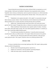 Verslo planas: drabužių siuvimas  UAB "Agneta" 15 puslapis