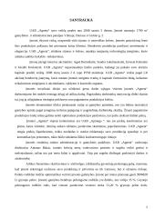 Verslo planas: drabužių siuvimas  UAB "Agneta" 5 puslapis