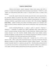 Verslo planas: drabužių siuvimas  UAB "Agneta" 7 puslapis