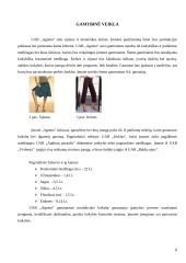 Verslo planas: drabužių siuvimas  UAB "Agneta" 8 puslapis