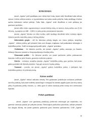 Verslo planas: drabužių siuvimas  UAB "Agneta" 10 puslapis