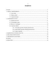 Verslo planas: duonos kepykla "Gardi duonelė" 2 puslapis