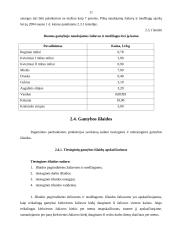 Verslo planas: duonos kepykla "Gardi duonelė" 11 puslapis