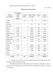 Verslo planas: duonos kepykla "Gardi duonelė" 12 puslapis