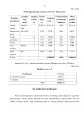 Verslo planas: duonos kepykla "Gardi duonelė" 10 puslapis