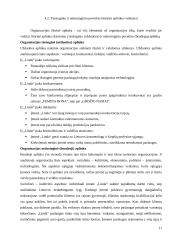 Verslo planas: grožio salonas IĮ "Linda" 11 puslapis