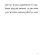 Verslo planas: grožio salonas IĮ "Linda" 18 puslapis