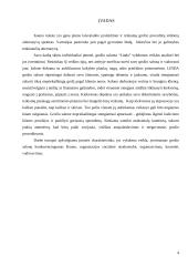 Verslo planas: grožio salonas IĮ "Linda" 4 puslapis