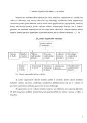 Verslo planas: grožio salonas IĮ "Linda" 7 puslapis