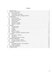 Verslo planas: IĮ "Kompiuteri, gelbėk bedarbius" 2 puslapis