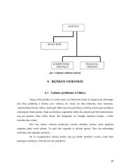 Verslo planas: IĮ "Kompiuteri, gelbėk bedarbius" 19 puslapis