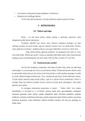 Verslo planas: IĮ "Kompiuteri, gelbėk bedarbius" 7 puslapis