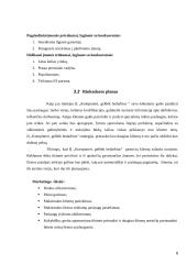 Verslo planas: IĮ "Kompiuteri, gelbėk bedarbius" 8 puslapis