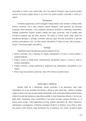 Verslo planas: individualios įmonės, prekiaujančios naudotomis automobilių detalėmis, kūrimas 12 puslapis