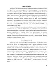 Verslo planas: individualios įmonės, prekiaujančios naudotomis automobilių detalėmis, kūrimas 4 puslapis