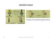 Automobilių apšvietimo ir signaliniai įtaisai 3 puslapis