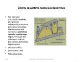 Automobilių apšvietimo ir signaliniai įtaisai 6 puslapis