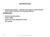 Automobilių apšvietimo ir signaliniai įtaisai 9 puslapis