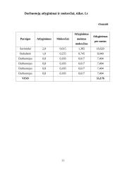 Verslo planas: interneto bei kompiuterinių žaidimų paslaugos IĮ "Mano takas" 11 puslapis