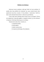 Verslo planas: interneto bei kompiuterinių žaidimų paslaugos IĮ "Mano takas" 12 puslapis