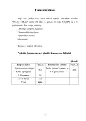 Verslo planas: interneto bei kompiuterinių žaidimų paslaugos IĮ "Mano takas" 13 puslapis