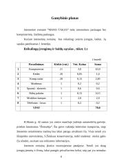 Verslo planas: interneto bei kompiuterinių žaidimų paslaugos IĮ "Mano takas" 6 puslapis