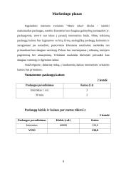 Verslo planas: interneto bei kompiuterinių žaidimų paslaugos IĮ "Mano takas" 8 puslapis