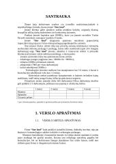 Verslo planas: įvaizdžio kūrimas IĮ "Star land" 2 puslapis