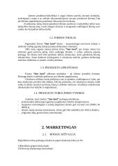 Verslo planas: įvaizdžio kūrimas IĮ "Star land" 3 puslapis