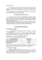 Verslo planas: įvaizdžio kūrimas IĮ "Star land" 4 puslapis