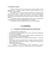 Verslo planas: įvaizdžio kūrimas IĮ "Star land" 5 puslapis