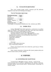 Verslo planas: įvaizdžio kūrimas IĮ "Star land" 6 puslapis