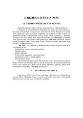 Verslo planas: įvaizdžio kūrimas IĮ "Star land" 7 puslapis