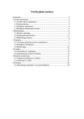 Verslo planas: įvaizdžio kūrimas IĮ "Star land" 9 puslapis